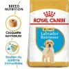 Royal Canin - Croquettes Puppy Labrador Retriever Pour Chiots - 3Kg -nourriture pour chien Soldes 2023 74382