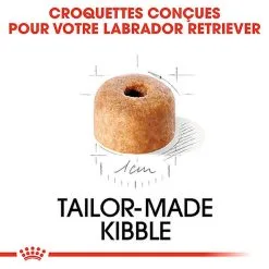Royal Canin - Croquettes Puppy Labrador Retriever Pour Chiots - 3Kg 11 Royal Canin - Croquettes Puppy Labrador Retriever Pour Chiots - 3Kg -nourriture pour chien Soldes 2023 74383