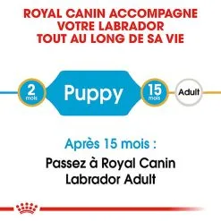 Royal Canin - Croquettes Puppy Labrador Retriever Pour Chiots - 3Kg 10 Royal Canin - Croquettes Puppy Labrador Retriever Pour Chiots - 3Kg -nourriture pour chien Soldes 2023 74384