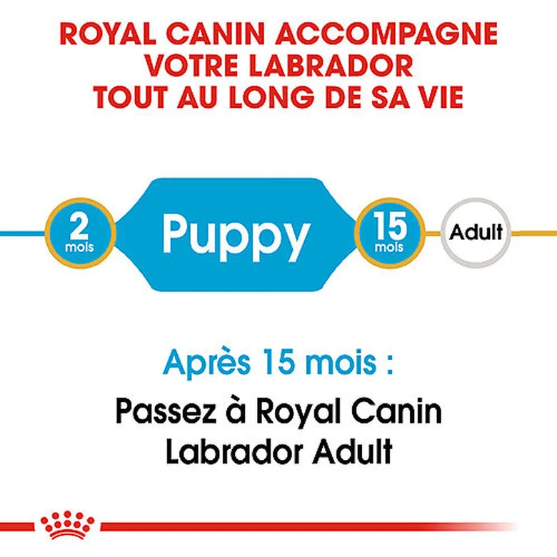 Royal Canin - Croquettes Puppy Labrador Retriever Pour Chiots - 3Kg 4 Royal Canin - Croquettes Puppy Labrador Retriever Pour Chiots - 3Kg – Image 2