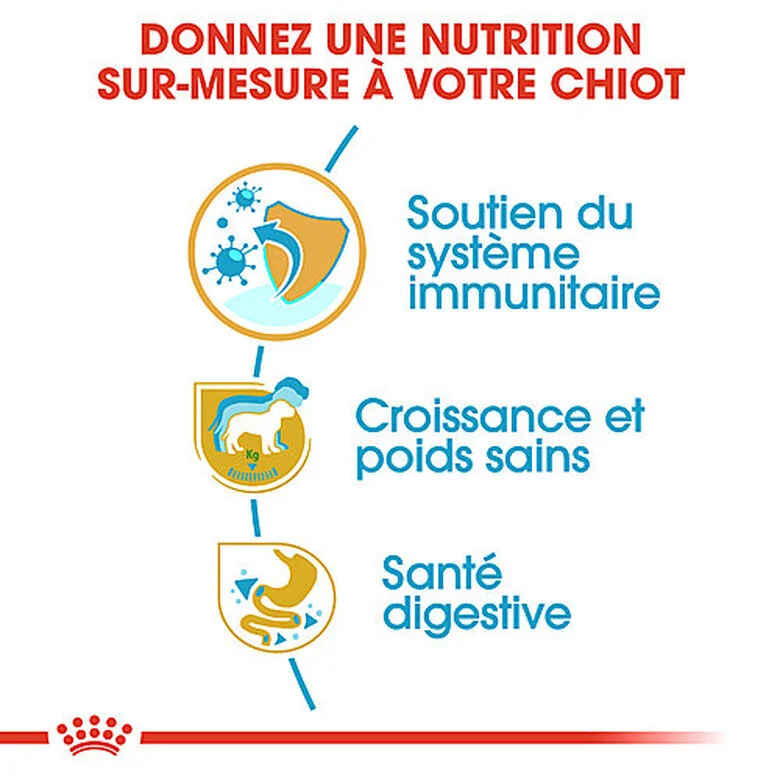 Royal Canin - Croquettes Puppy Labrador Retriever Pour Chiots - 3Kg 6 Royal Canin - Croquettes Puppy Labrador Retriever Pour Chiots - 3Kg – Image 4