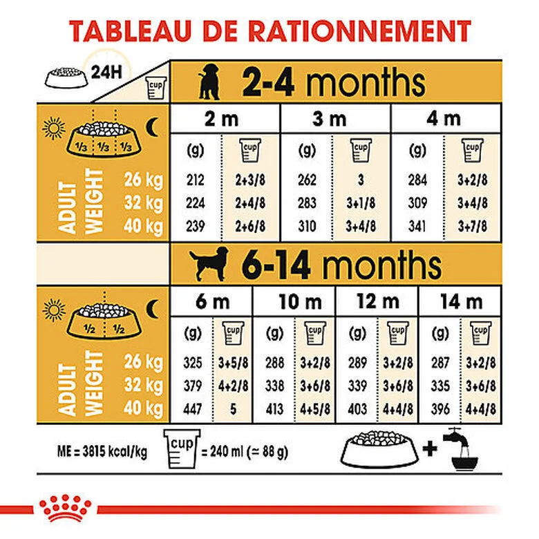 Royal Canin - Croquettes Puppy Labrador Retriever Pour Chiots - 3Kg 8 Royal Canin - Croquettes Puppy Labrador Retriever Pour Chiots - 3Kg – Image 6