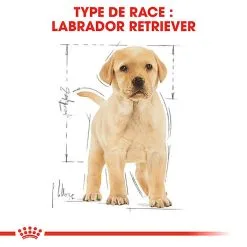 Royal Canin - Croquettes Puppy Labrador Retriever Pour Chiots - 3Kg 13 Royal Canin - Croquettes Puppy Labrador Retriever Pour Chiots - 3Kg -nourriture pour chien Soldes 2023 74387