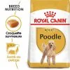 Royal Canin - Croquettes Poodle Adult Caniche Pour Chien - 1,5Kg 1 Royal Canin - Croquettes Poodle Adult Caniche Pour Chien - 1,5Kg -nourriture pour chien Soldes 2023 74389