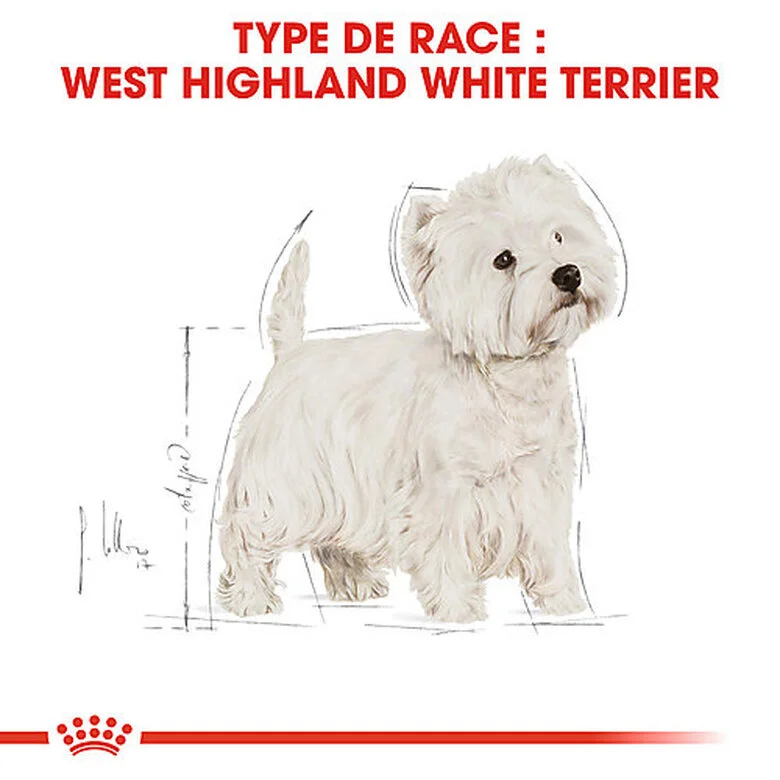 Royal Canin - Croquettes Westie Adult Pour Chiens - 1,5Kg 4 Royal Canin - Croquettes Westie Adult Pour Chiens - 1,5Kg – Image 2