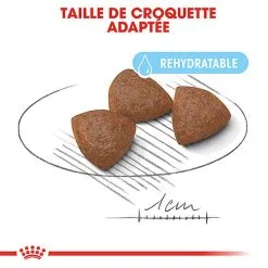 Royal Canin - Croquettes Starter Mother & Babydog Medium Pour Chiennes Et Chiots - 4KG -nourriture pour chien Soldes 2023 74402