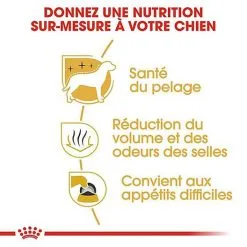 Royal Canin - Croquettes Maltese Adult Bichon Maltais Pour Chiens - 1,5Kg -nourriture pour chien Soldes 2023 74409