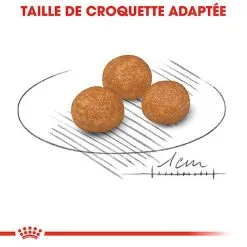 Royal Canin - Croquettes X-Small Adult Pour Petits Chiens - 1,5Kg -nourriture pour chien Soldes 2023 74433