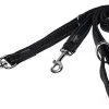 Rogz - Laisse Utility Multiple Noir Pour Chiens - 180x2,5cm -nourriture pour chien Soldes 2023 74608