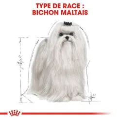 Royal Canin - Croquettes Maltese Adult Bichon Maltais Pour Chiens - 1,5Kg -nourriture pour chien Soldes 2023 74609
