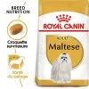 Royal Canin - Croquettes Maltese Adult Bichon Maltais Pour Chiens - 1,5Kg -nourriture pour chien Soldes 2023 74612