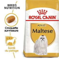 Royal Canin - Croquettes Maltese Adult Bichon Maltais Pour Chiens - 1,5Kg