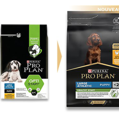 Pro Plan - Croquettes HEALTHY START Large Athletic Poulet Pour Chiot - 3Kg -nourriture pour chien Soldes 2023 75271