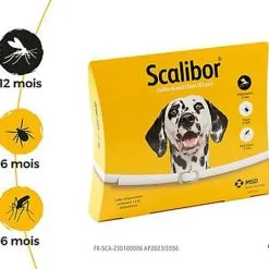 Scalibor - Collier Antiparasitaire Pour Chien