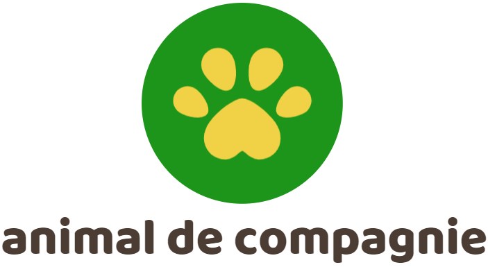 nourriture pour chien Soldes 2023