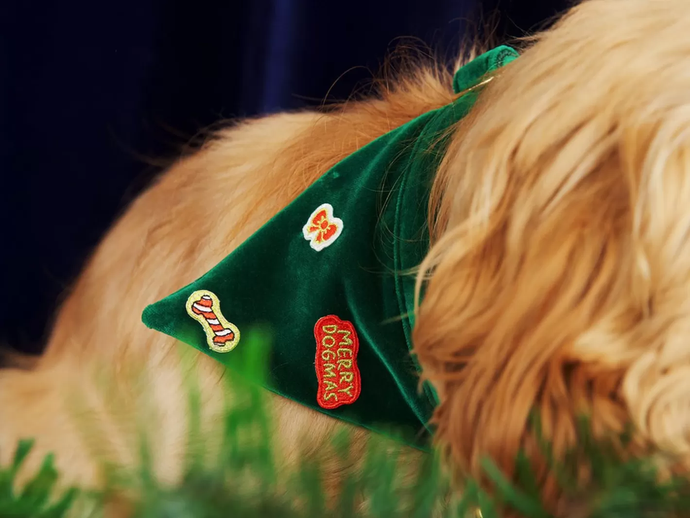 Bandana Jolly Green | French Bandit Store