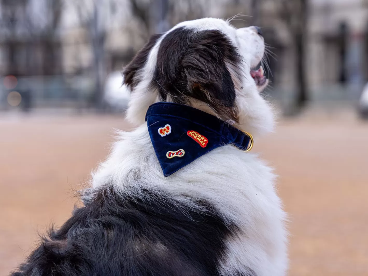 Bandana Merry Blue | French Bandit Sale