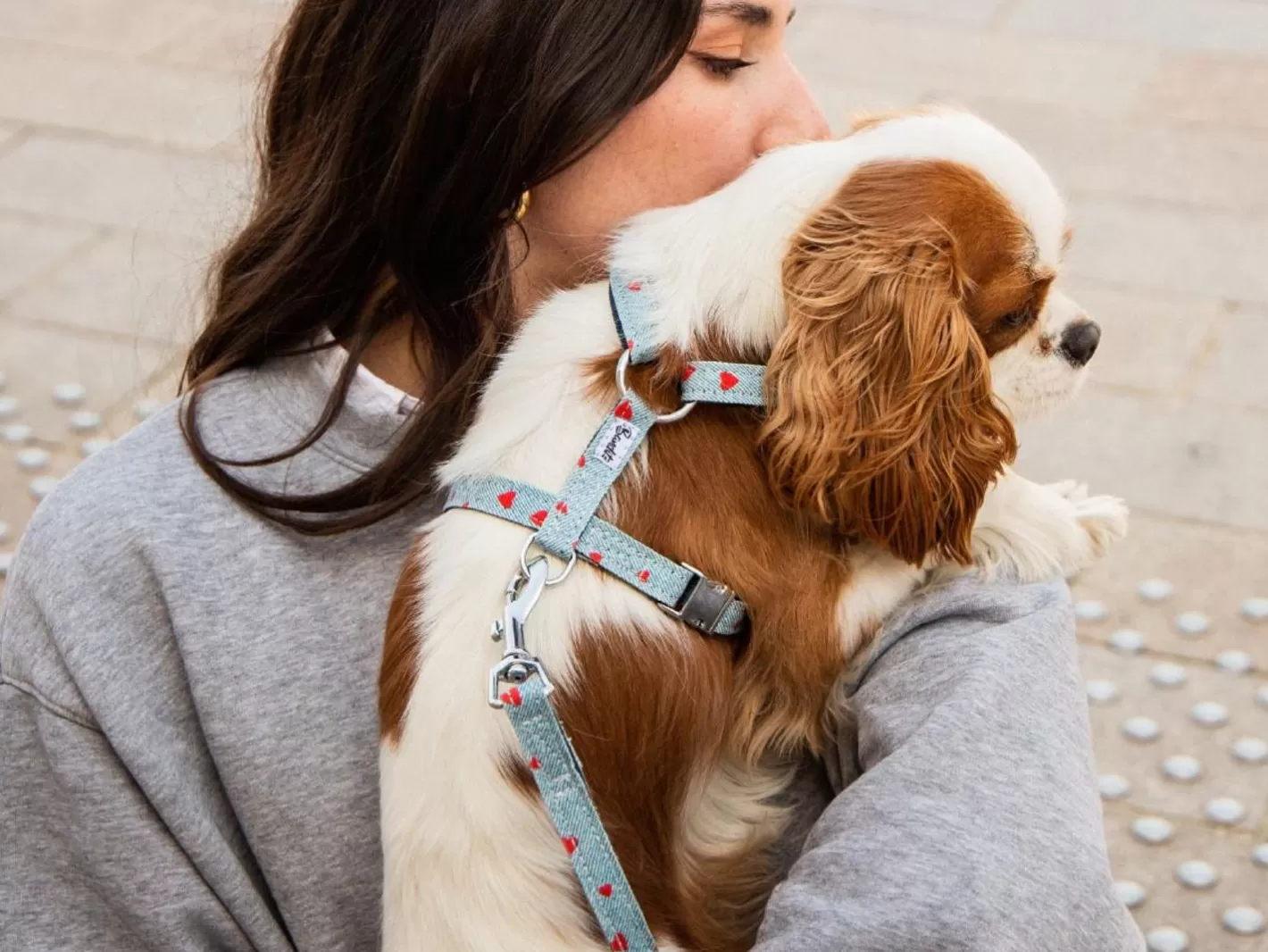 Bandit X Clara | French Bandit Best Sale