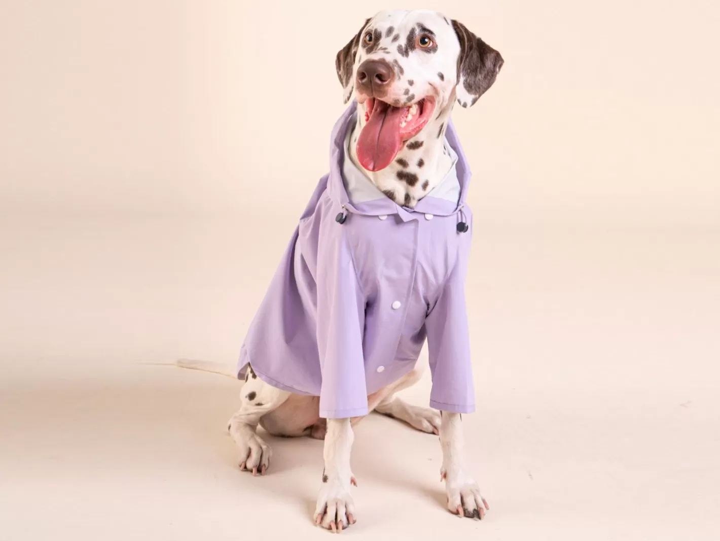 Bandit X Flotte 2023 - L'Impermeable | French Bandit Fashion