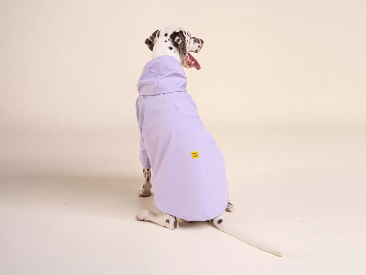 Bandit X Flotte 2023 - L'Impermeable | French Bandit Fashion
