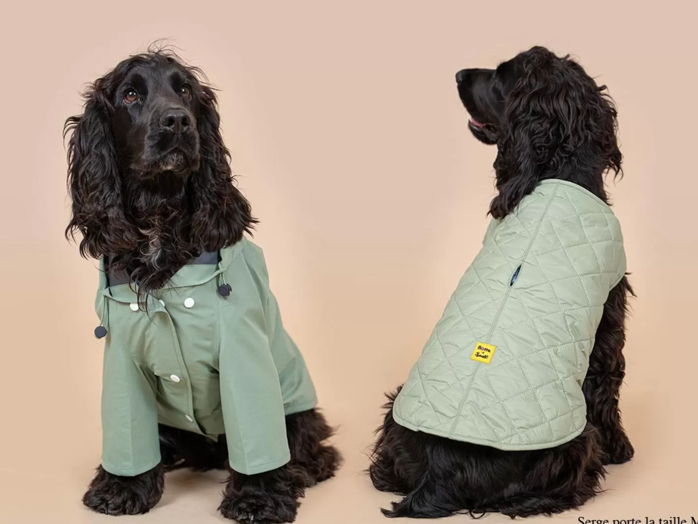 Bandit X Flotte - L'Imper & La Doudoune | French Bandit Flash Sale