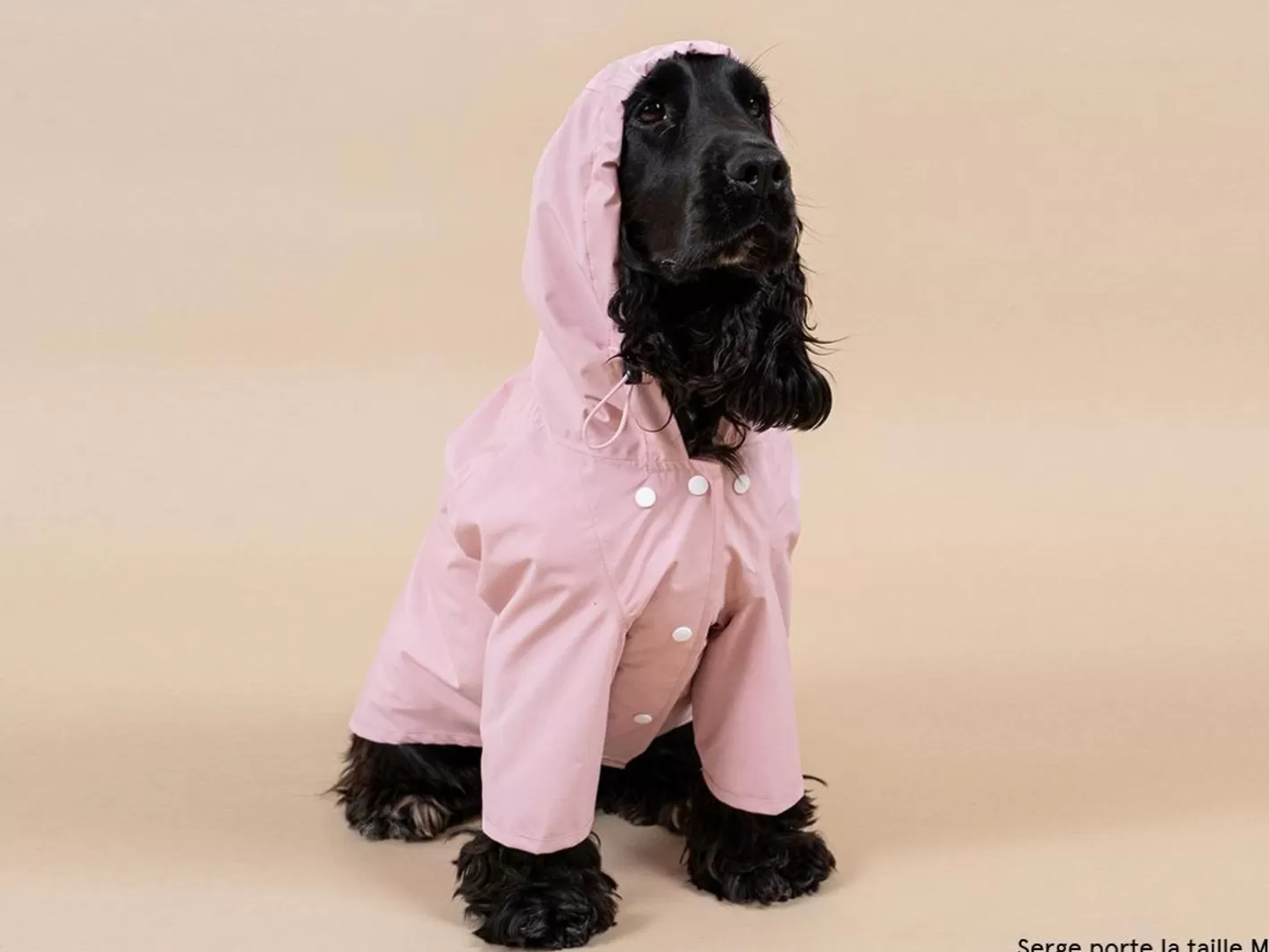Bandit X Flotte - L'Impermeable | French Bandit Best Sale
