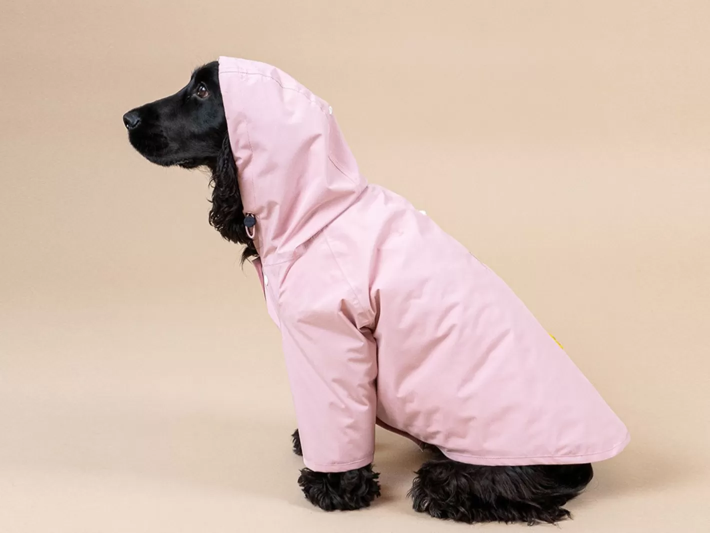 Bandit X Flotte - L'Impermeable | French Bandit Best Sale