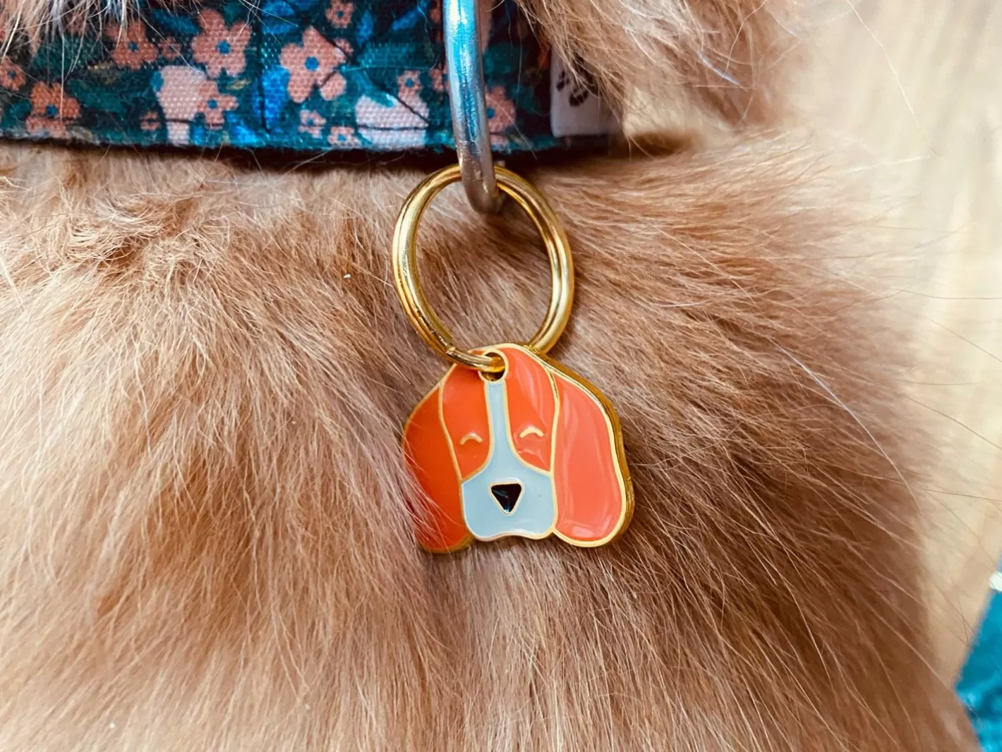 Beaglove | French Bandit Sale