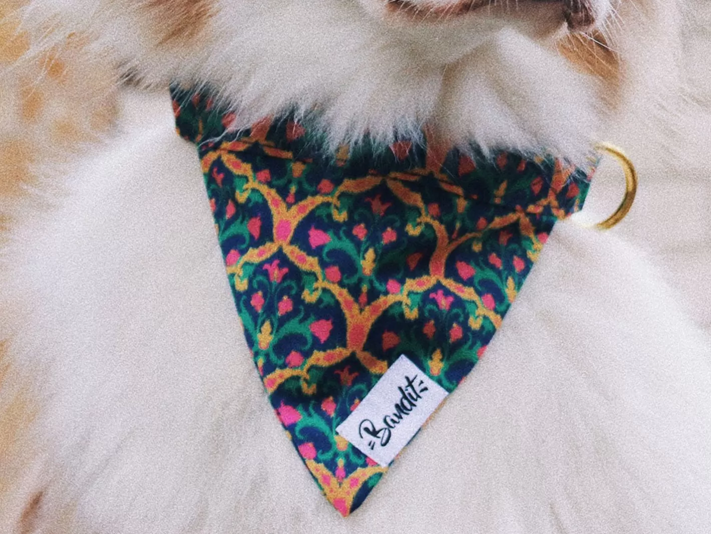 Bollywoof | French Bandit Discount