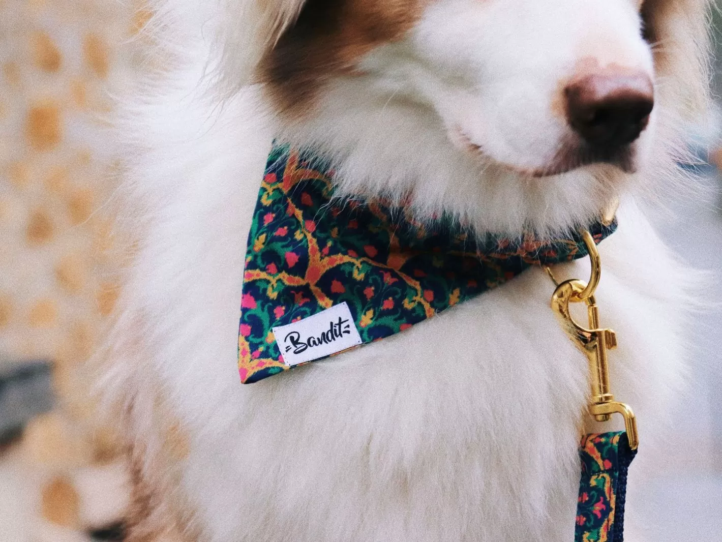 Bollywoof | French Bandit Best Sale