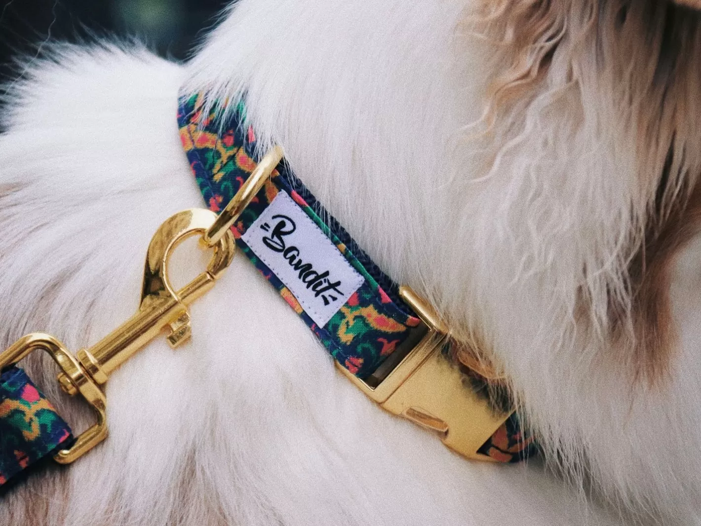 Bollywoof | French Bandit Outlet