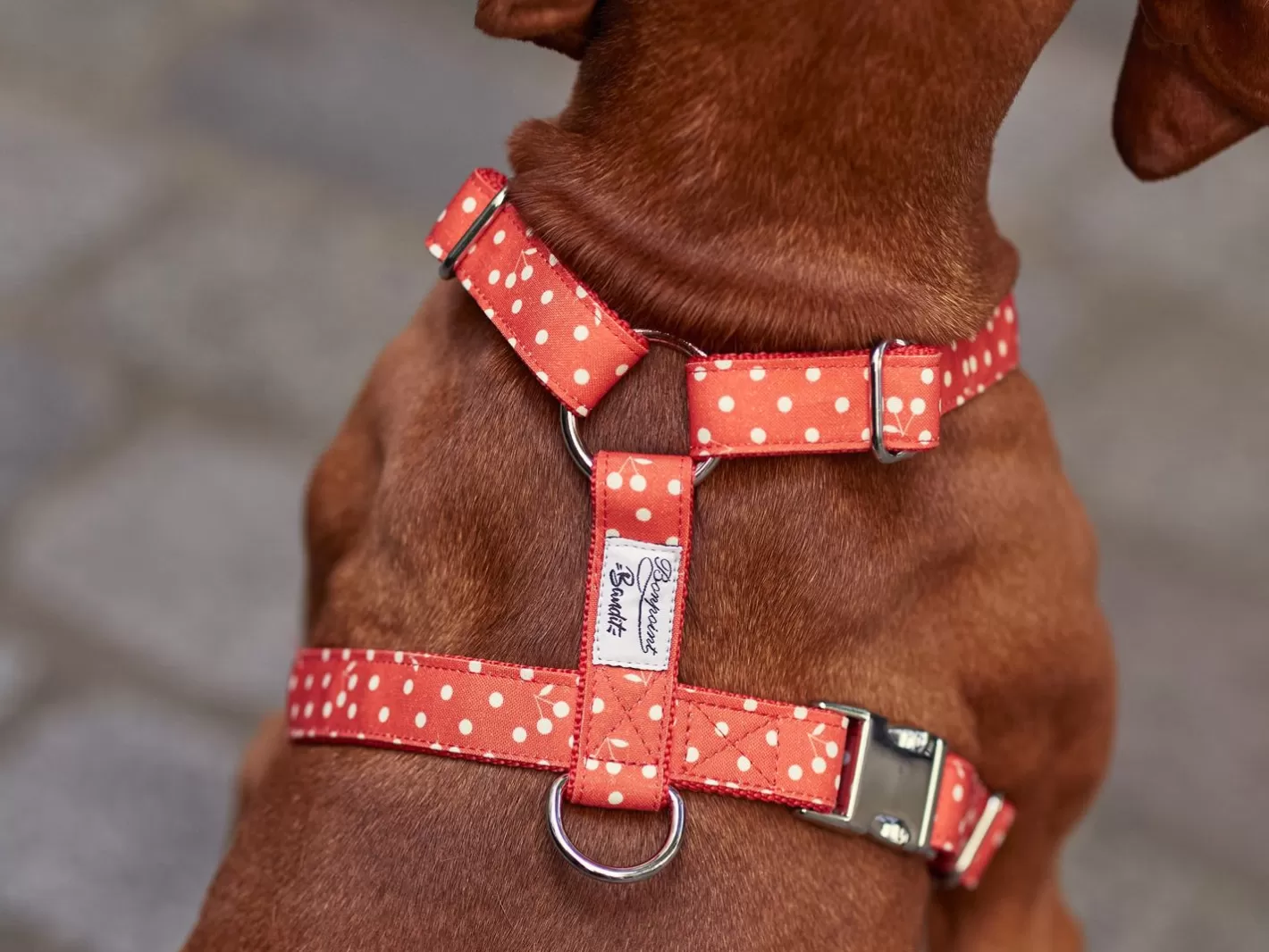 Bonpoint Bandit - Rouge | French Bandit Online