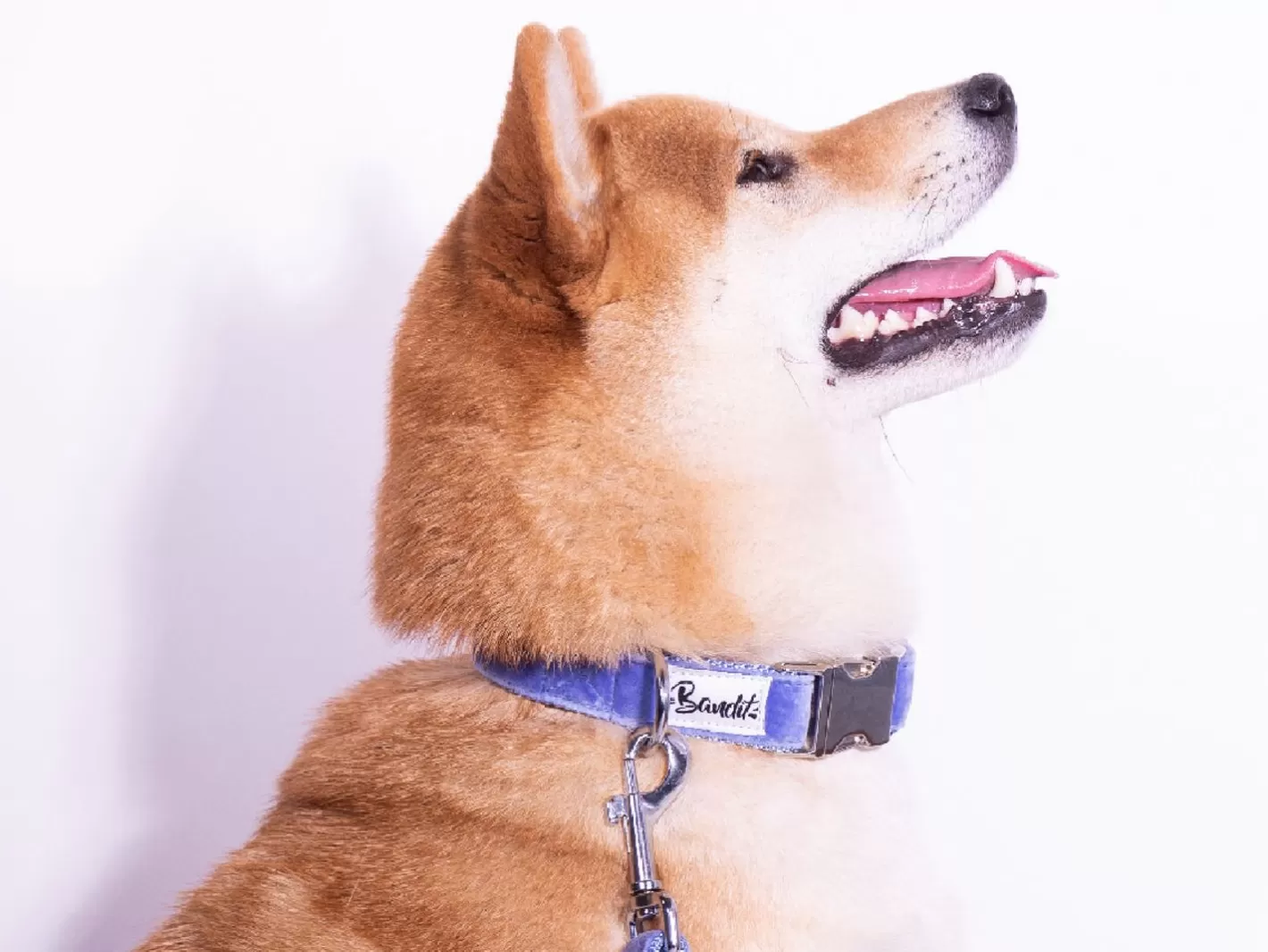Collier Maliblue | French Bandit Best