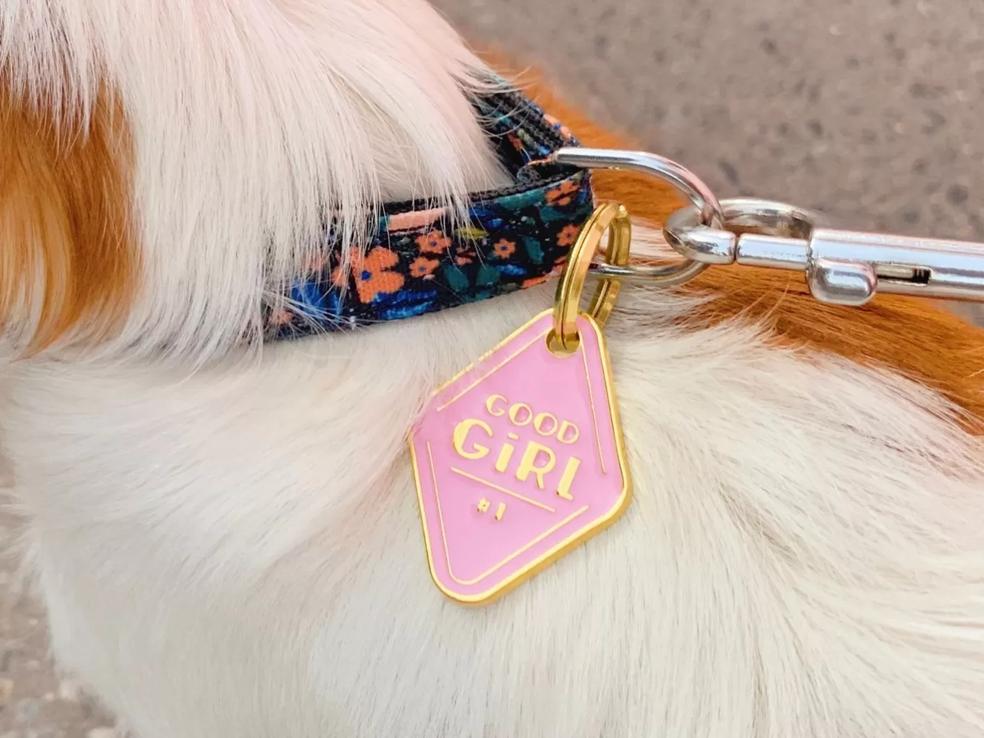 Good Girl | French Bandit Sale