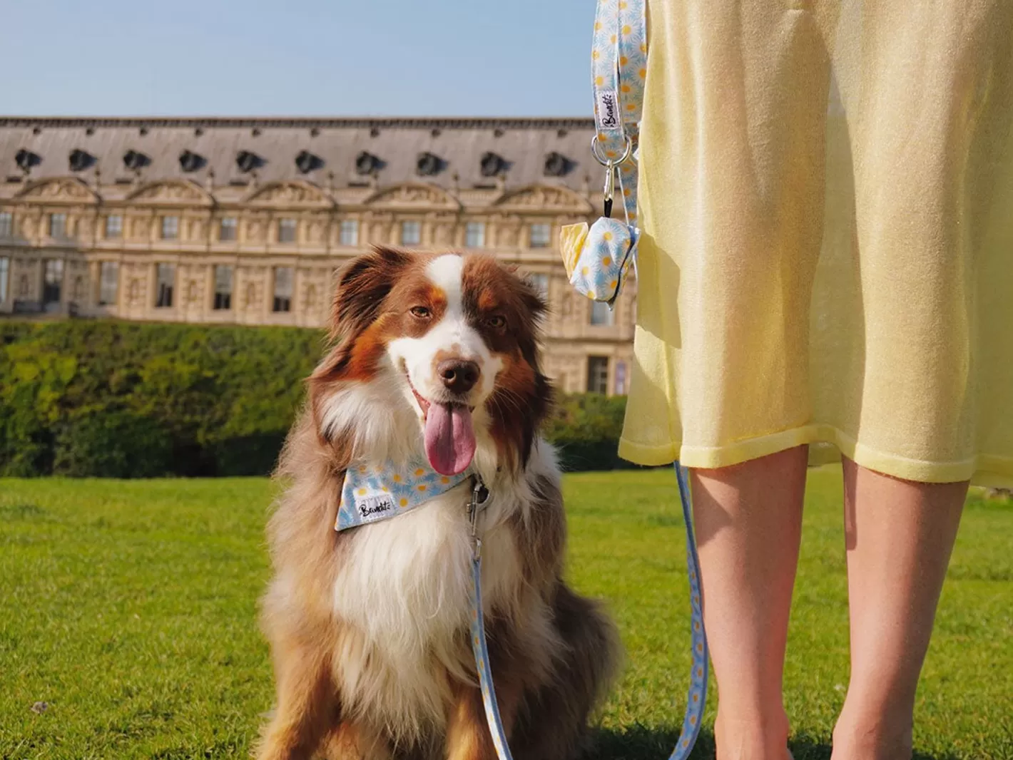 Happy Daisy | French Bandit Discount