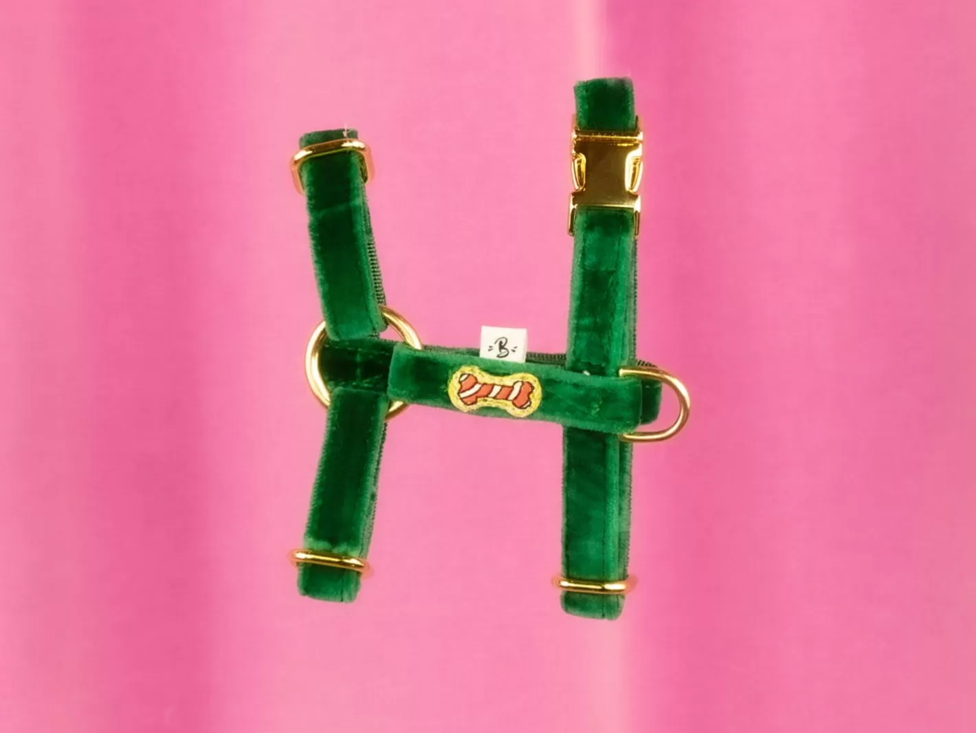 Harnais Chat Jolly Green | French Bandit Cheap