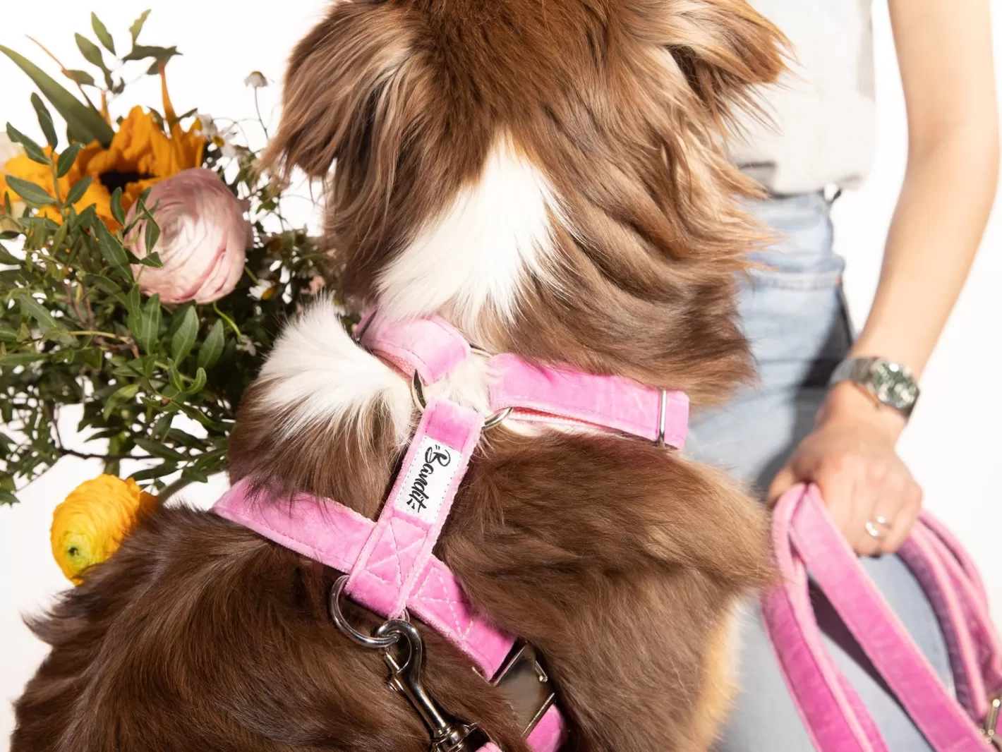 Harnais Venice Pink | French Bandit Sale