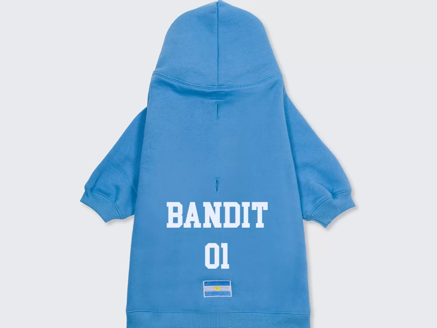 Hoodie De Sport - Argentine | French Bandit Hot