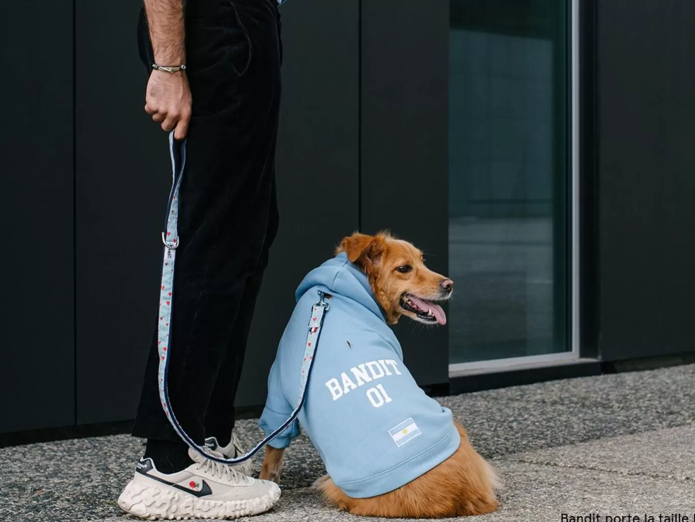 Hoodie De Sport - Argentine | French Bandit Hot