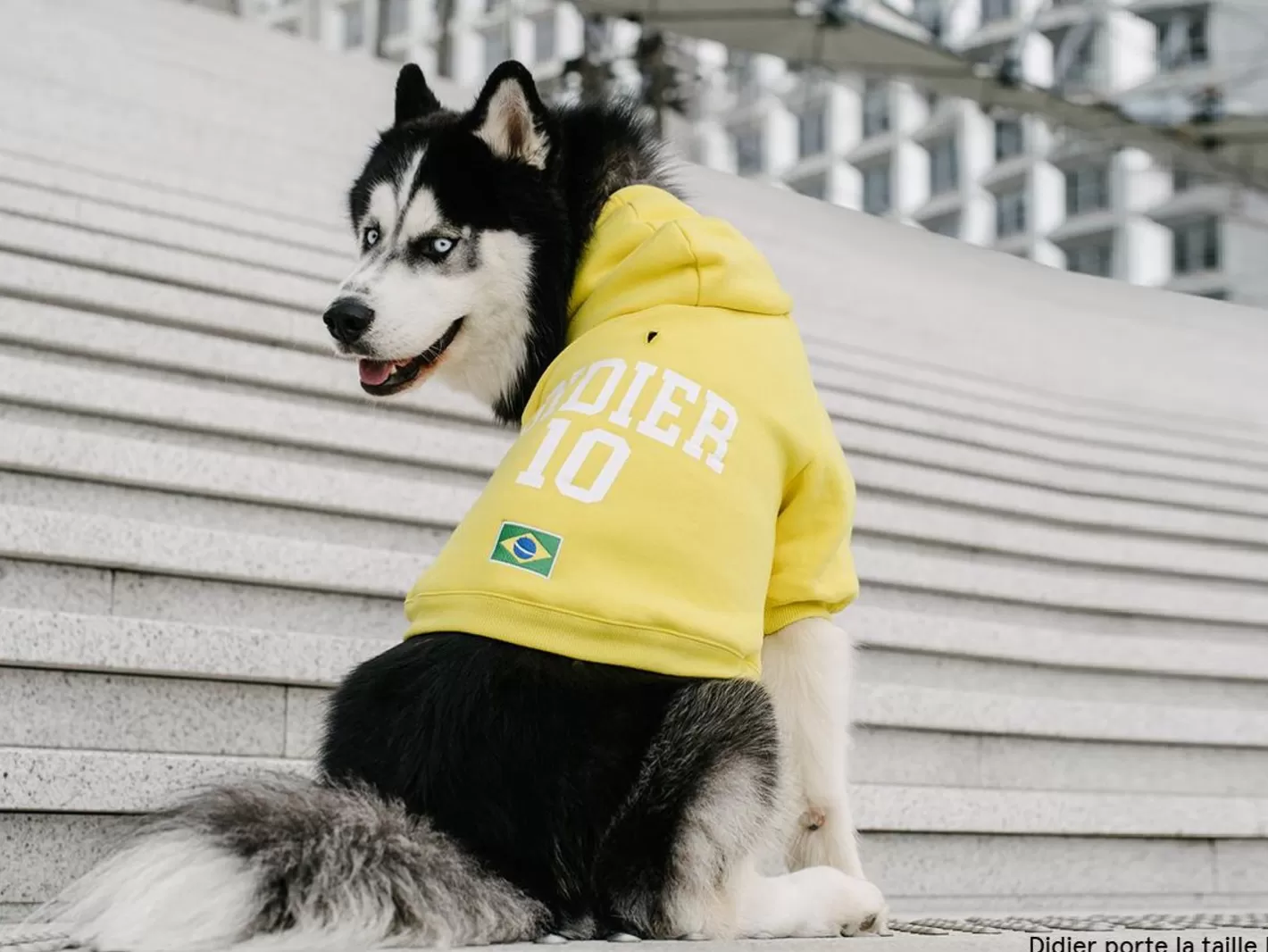 Hoodie De Sport - Bresil | French Bandit Sale