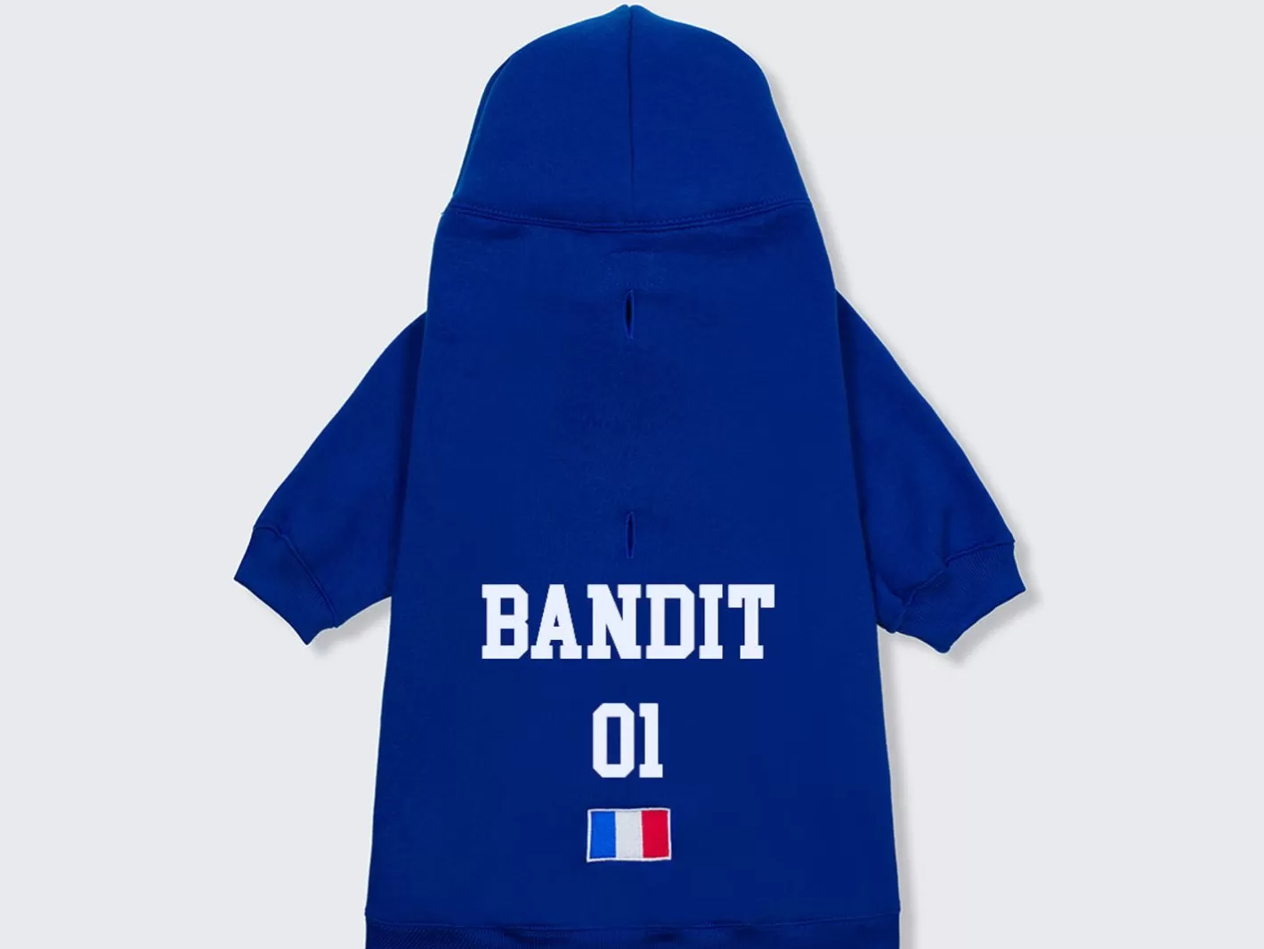 Hoodie De Sport - France | French Bandit Discount