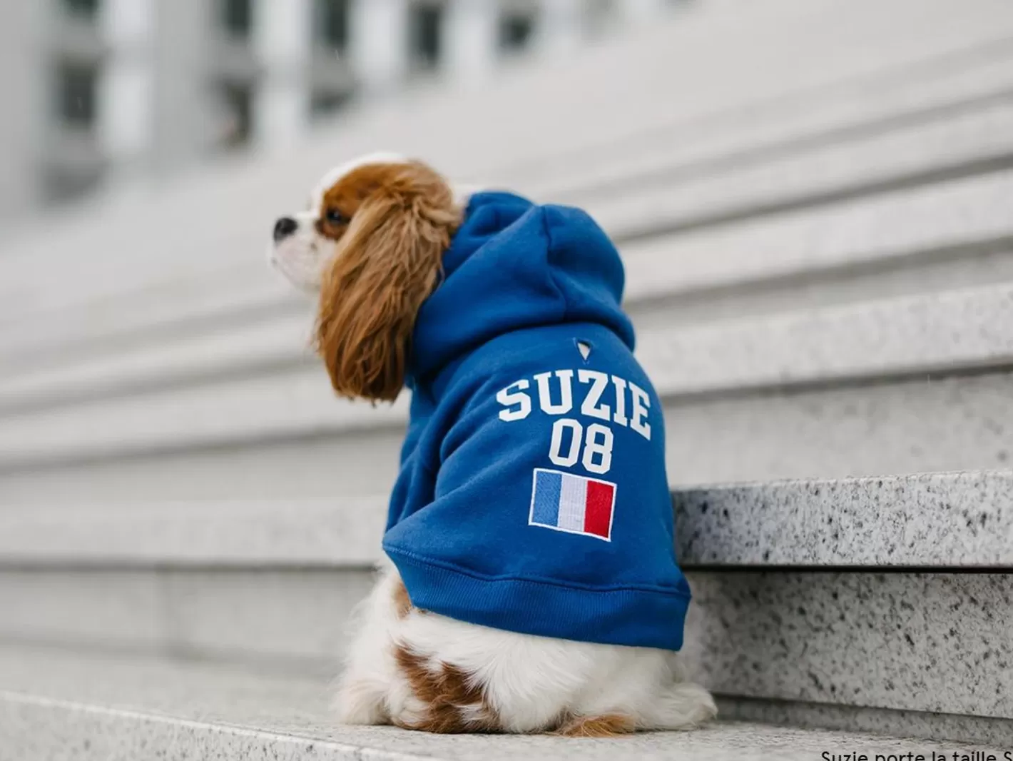 Hoodie De Sport - France | French Bandit Discount