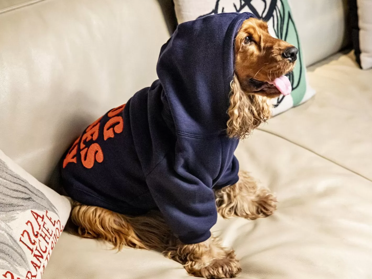 Hoodie Le Brach X Bandit | French Bandit Sale