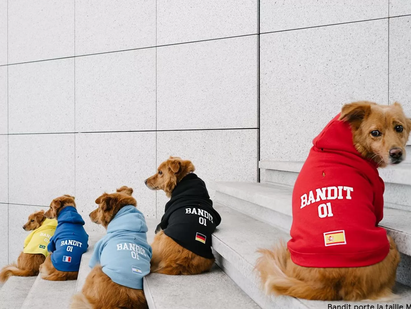 Hoodies De Sport | French Bandit Shop