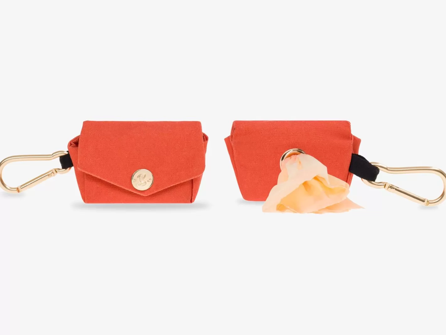 Le Brach X Bandit | French Bandit Outlet