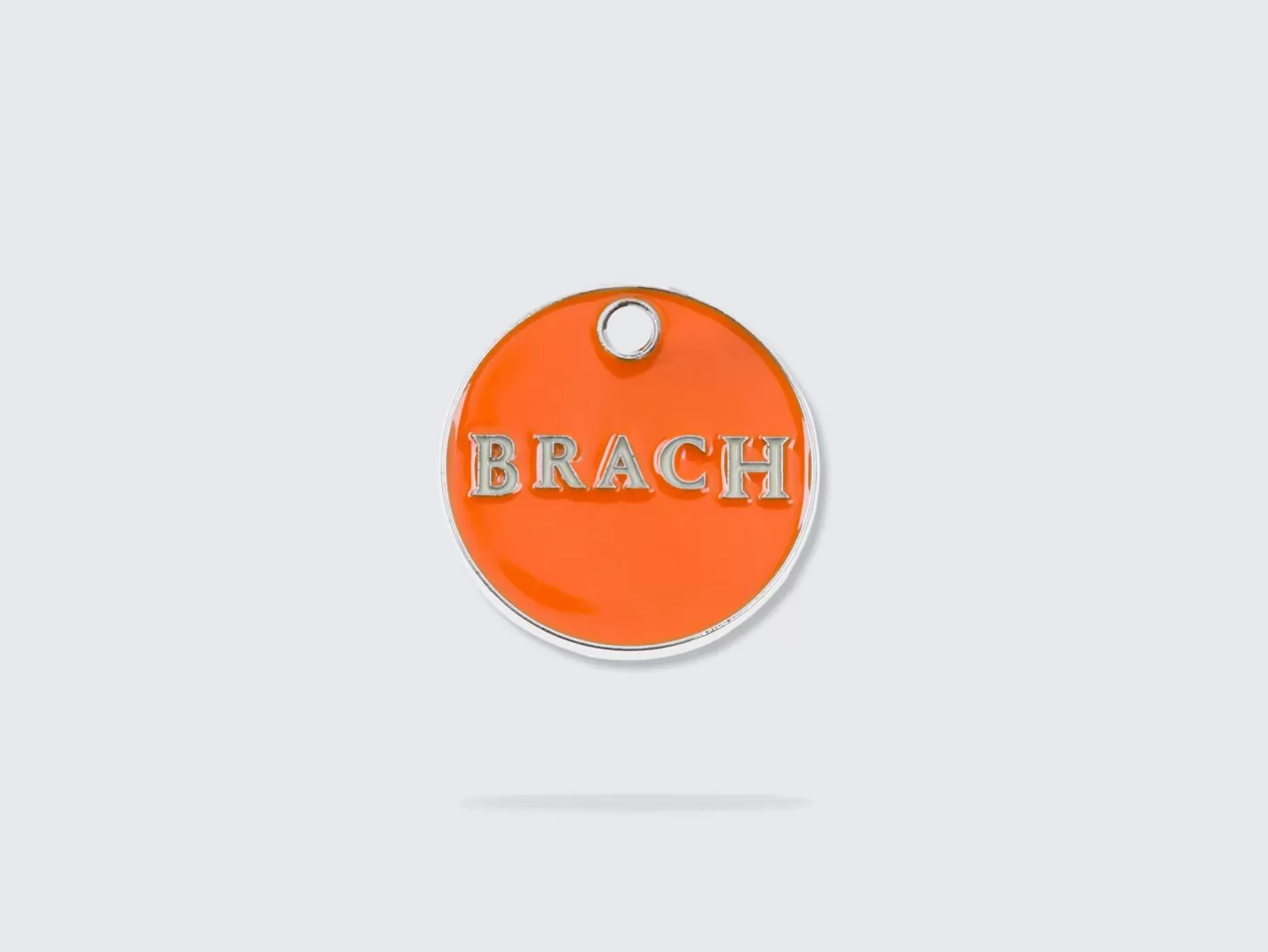 Le Brach X Bandit | French Bandit Cheap