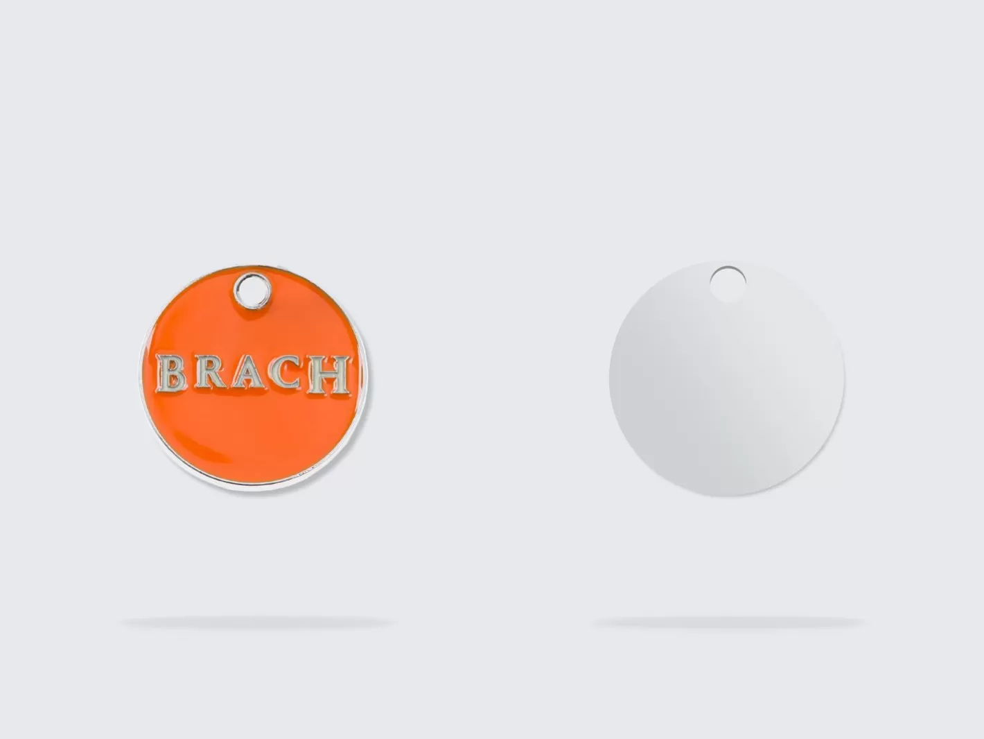 Le Brach X Bandit | French Bandit Cheap