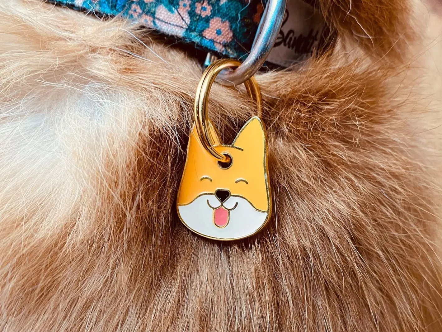 Shiba Chou | French Bandit Shop