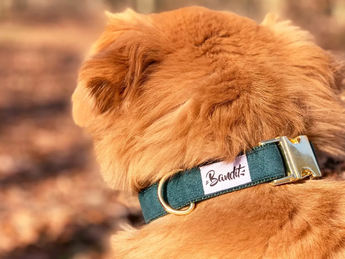 So Green Chic | French Bandit Online