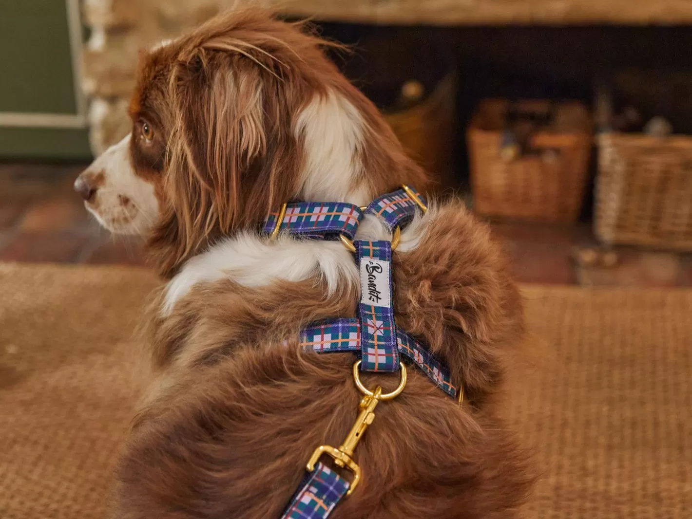 Tartan Lilas | French Bandit Clearance